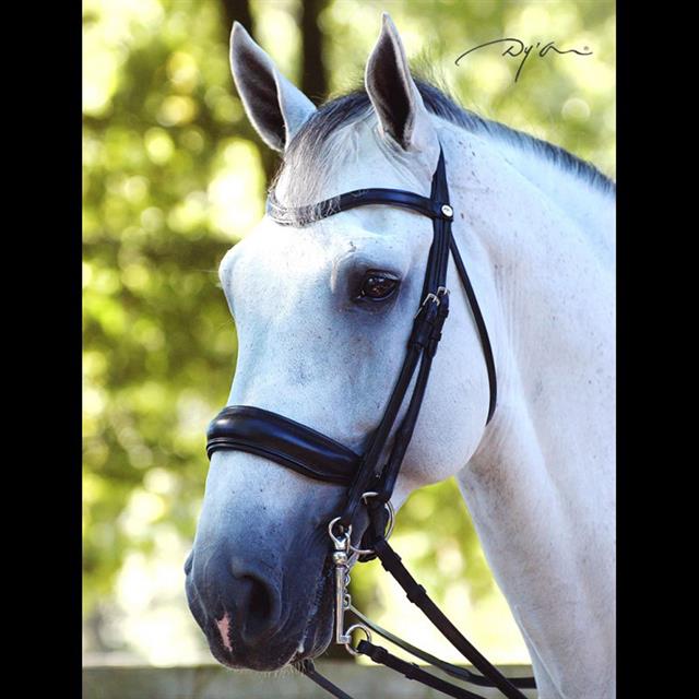 Bride Dressage Mat Working Collection Dy'on Noir