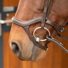 Bridon Anatomic Harry's Horse Marron