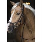 Bridon Aquila Deluxe HORSEGEAR Marron