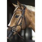 Bridon Aquila Deluxe Horsegear Marron