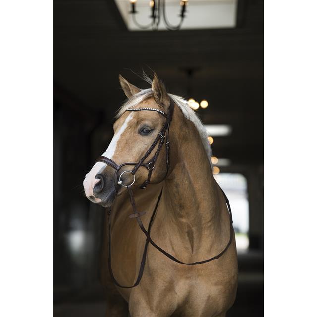 Bridon Aquila Deluxe HORSEGEAR Marron