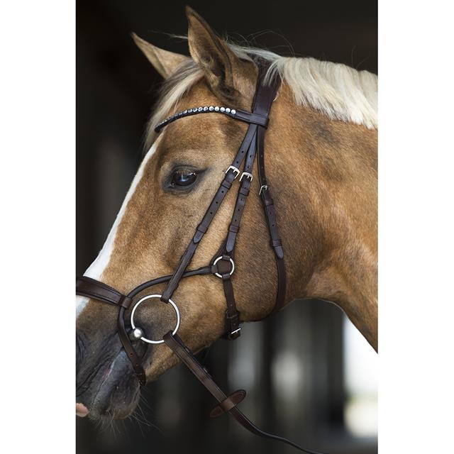 Bridon Aquila Deluxe HORSEGEAR Marron