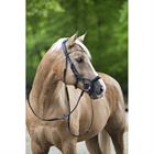 Bridon Aquila Deluxe HORSEGEAR Noir
