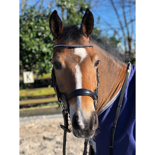 Bridon Aquila Deluxe HORSEGEAR Noir