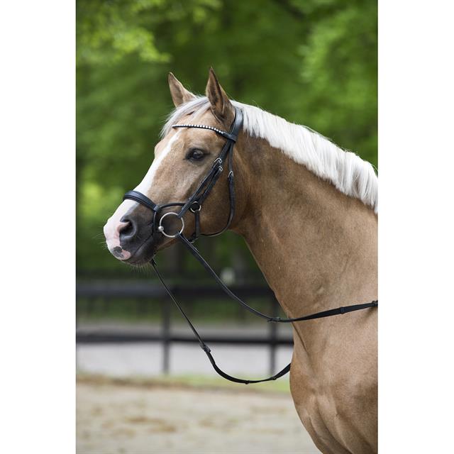 Bridon Aquila Deluxe HORSEGEAR Noir