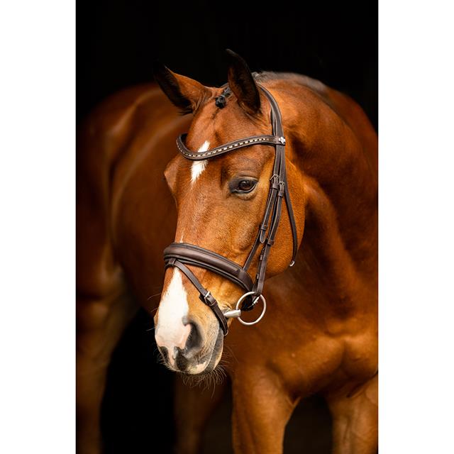 Bridon Arika Dressage LeMieux Marron