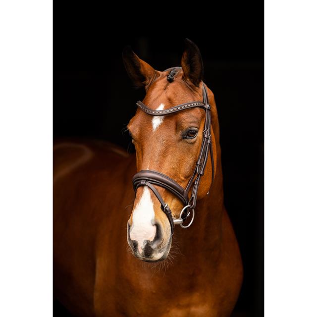 Bridon Arika Dressage LeMieux Marron