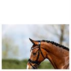 Bridon ATH20005 Anky Noir