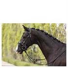 Bridon Comfort Fit Double Anatomical ATH19002 Anky Noir