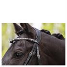 Bridon Comfort Fit Double Anatomical ATH19002 Anky Noir
