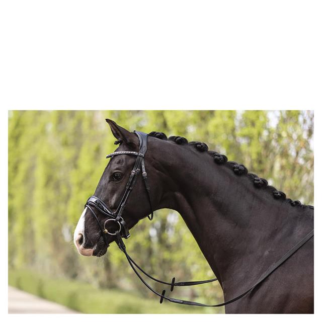Bridon Comfort Fit Double Anatomical ATH19002 Anky Noir