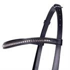 Bridon de présentation Vesta QHP Noir