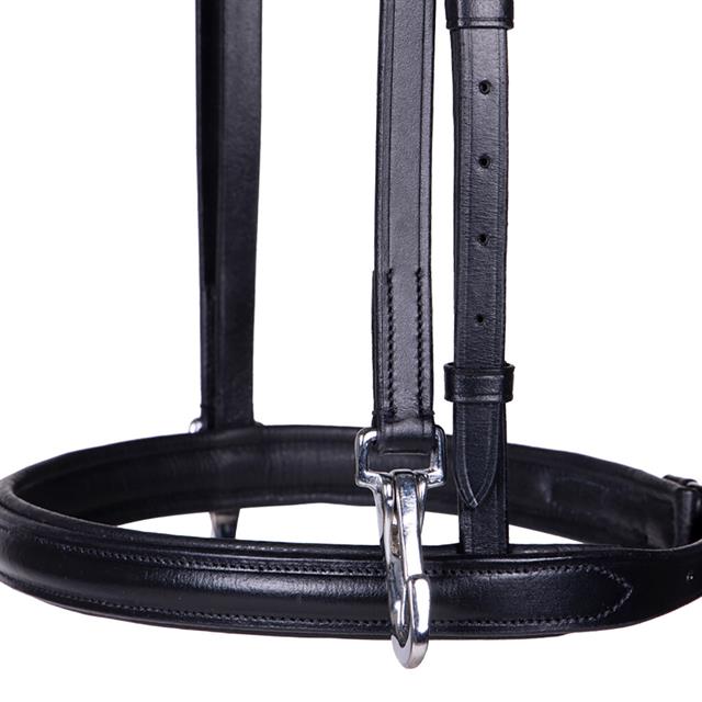 Bridon de présentation Vesta QHP Noir