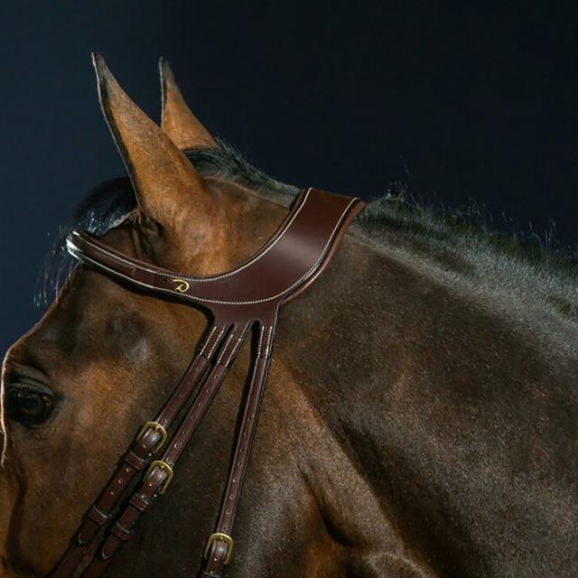 Bridon Différence D Collection Dy'on Marron