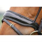 Bridon Dressage Verni Bombé Dy'on Noir-noir