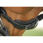 Bridon Dressage Verni Bombé Dy'on Noir-noir