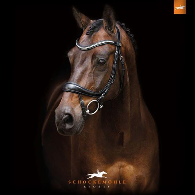 Bridon Equitus Beta Schockemöhle Noir-argenté