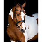 Bridon Fair Montar Noir