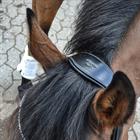Bridon Fair Montar Noir