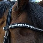 Bridon Fair Montar Noir