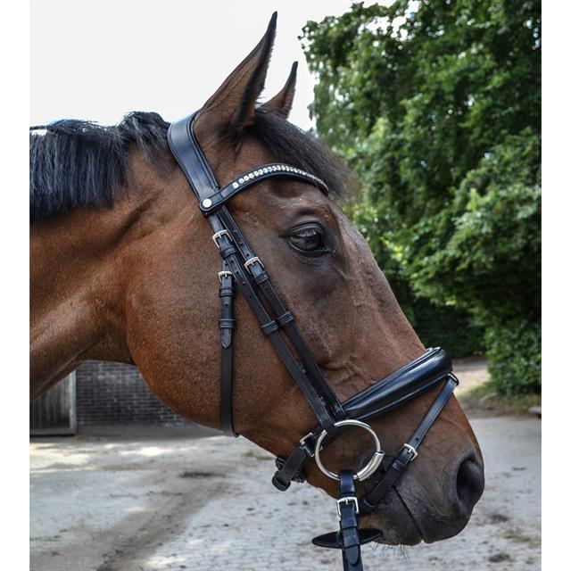Bridon Fair Montar Noir