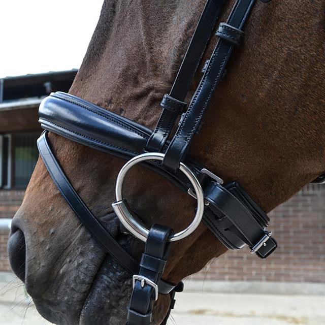 Bridon Fair Montar Noir