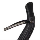 Bridon FaySport Shine PresTeq Noir