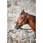 Bridon hackamore D Collection Dy'on Noir
