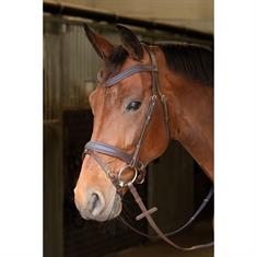 Bridon Havanna Navy Harry's Horse Marron