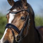 Bridon HGBlush HORSEGEAR Noir