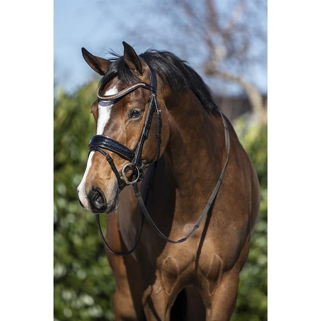 Bridon HGBlush HORSEGEAR Noir