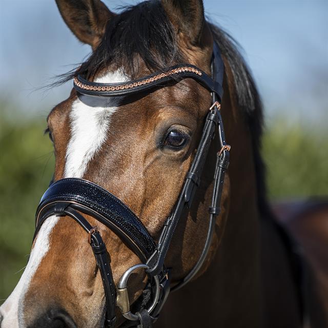 Bridon HGBlush HORSEGEAR Noir