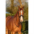 Bridon HGGreylin HORSEGEAR Noir