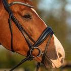 Bridon HGGreylin HORSEGEAR Noir