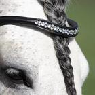Bridon HGHonestus HORSEGEAR Noir