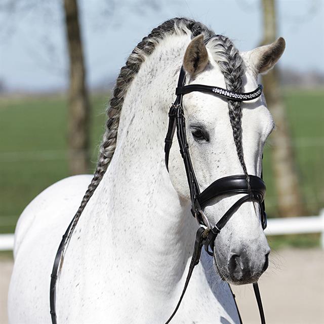 Bridon HGHonestus HORSEGEAR Noir