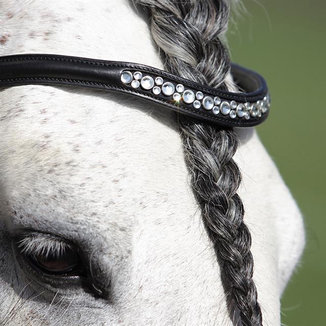 Bridon HGHonestus HORSEGEAR Noir
