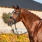 Bridon HGLe Noir HORSEGEAR Noir