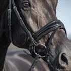 Bridon HGLe Noir HORSEGEAR Noir