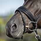 Bridon HGLe Noir HORSEGEAR Noir