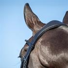 Bridon HGLe Noir HORSEGEAR Noir
