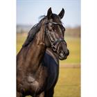 Bridon HGWellington HORSEGEAR Noir