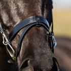 Bridon HGWellington HORSEGEAR Noir