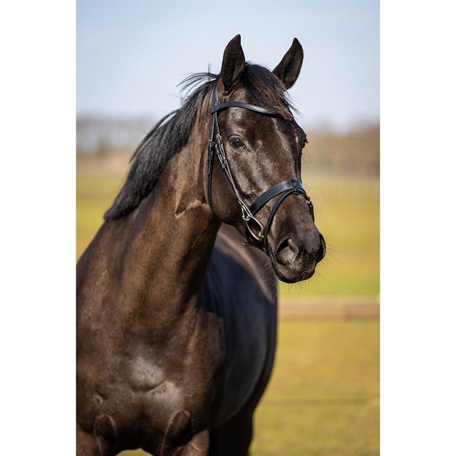 Bridon HGWellington HORSEGEAR Noir