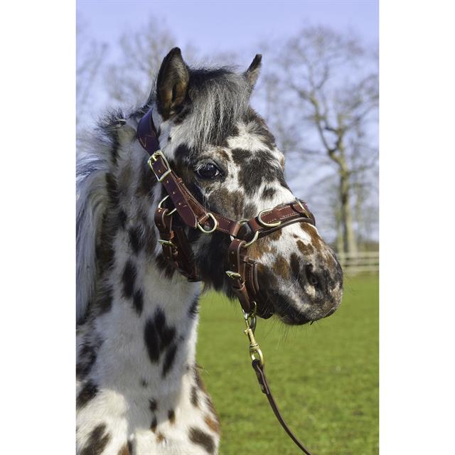 Bridon Human&Horse Heart By Greetje Hakvoort Marron