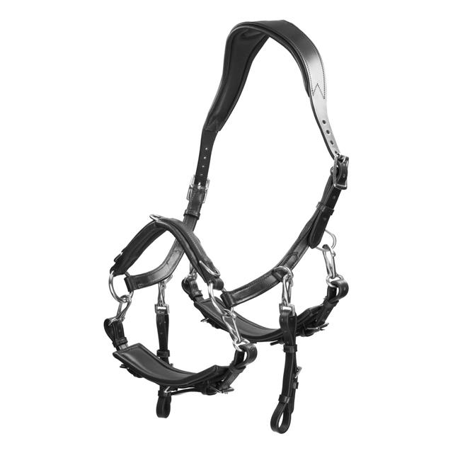 Bridon Human&Horse Heart By Greetje Hakvoort Noir
