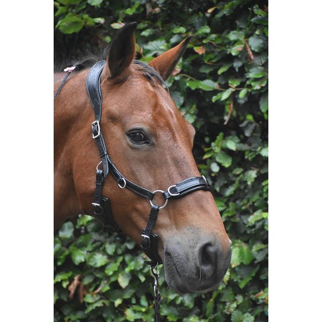 Bridon Human&Horse Heart By Greetje Hakvoort Noir