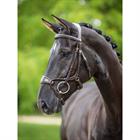 Bridon Kudos Clear Arc LeMieux Marron-doré