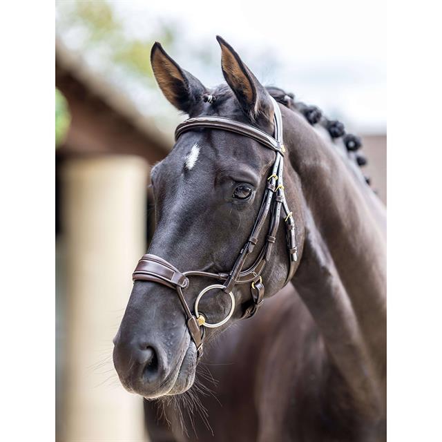 Bridon Kudos Clear Arc LeMieux Marron-doré