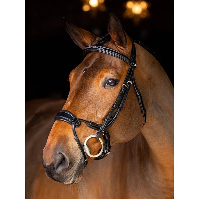 Bridon Kudos Clear Arc LeMieux Noir-argenté